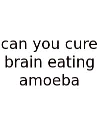 Can You Cure Brain Eating Amoeba