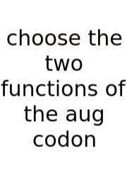 Choose The Two Functions Of The Aug Codon