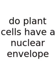 Do Plant Cells Have A Nuclear Envelope