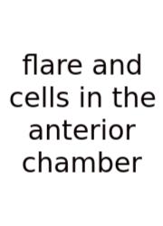 Flare And Cells In The Anterior Chamber