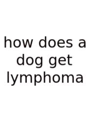 How Does A Dog Get Lymphoma