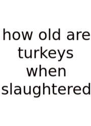 How Old Are Turkeys When Slaughtered