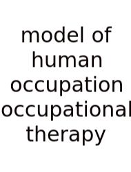 Model Of Human Occupation Occupational Therapy