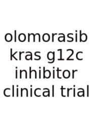 Olomorasib Kras G12c Inhibitor Clinical Trial