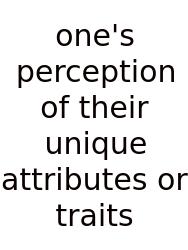 One's Perception Of Their Unique Attributes Or Traits