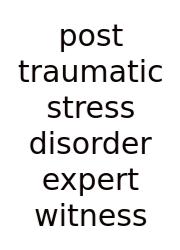 Post Traumatic Stress Disorder Expert Witness