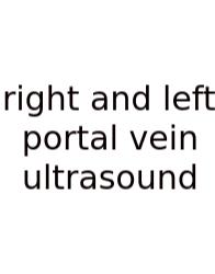 Right And Left Portal Vein Ultrasound