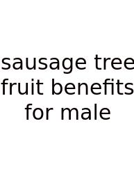 Sausage Tree Fruit Benefits For Male