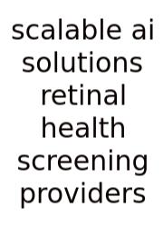 Scalable Ai Solutions Retinal Health Screening Providers