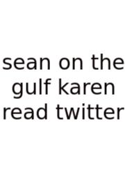 Sean On The Gulf Karen Read Twitter