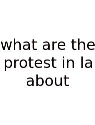 What Are The Protest In La About