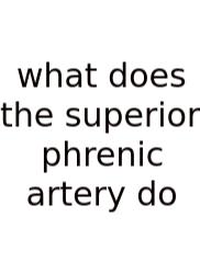 What Does The Superior Phrenic Artery Do