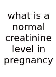 What Is A Normal Creatinine Level In Pregnancy