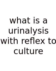What Is A Urinalysis With Reflex To Culture