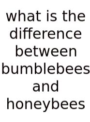What Is The Difference Between Bumblebees And Honeybees