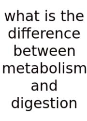 What Is The Difference Between Metabolism And Digestion