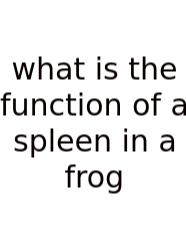 What Is The Function Of A Spleen In A Frog