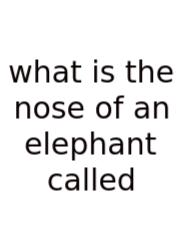 What Is The Nose Of An Elephant Called