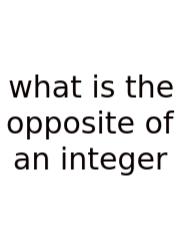 What Is The Opposite Of An Integer